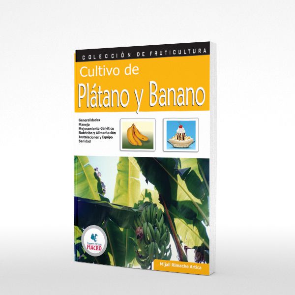 Microempresa Cultivo de Platano y